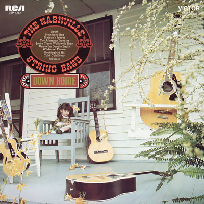 Down Home/The Nashville String Band