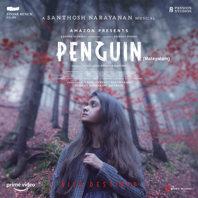 Penguin (Malayalam) (Original Motion Picture Soundtrack)/Santhosh Narayanan