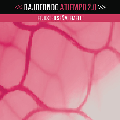 A Tiempo 2.0 feat.Usted Senalemelo/Bajofondo