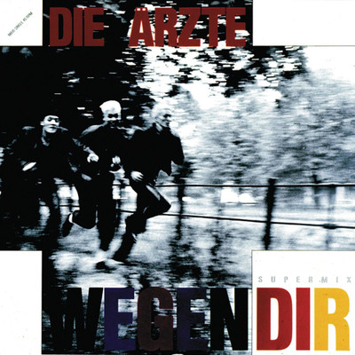 アルバム/Wegen Dir (Mixes)/Die Arzte