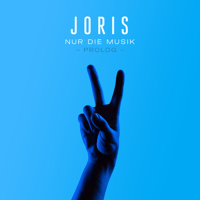 アルバム/Nur die Musik/JORIS