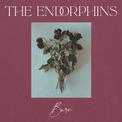 シングル/Burn/The Endorphins