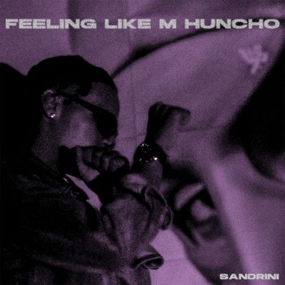 シングル/Feeling Like M Huncho/Sandrini 2830