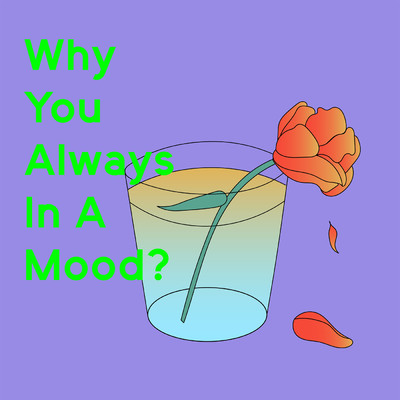 シングル/Why You Always in a Mood？/nosy beats