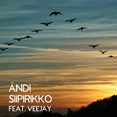 シングル/Siipirikko feat.Veejay/Andi