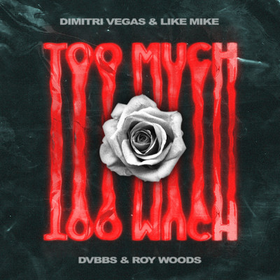 Dimitri Vegas & Like Mike／DVBBS／Roy Woods