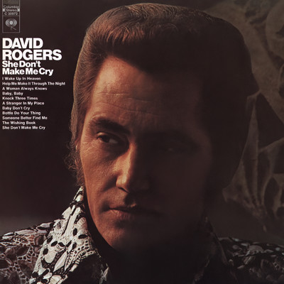 A Stranger in My Place/David Rogers