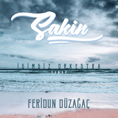 アルバム/Sakin/Feridun Duzagac