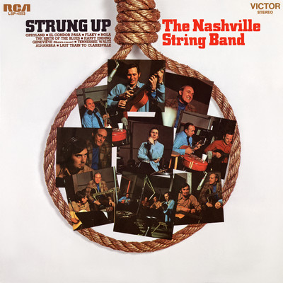 Tennessee Waltz/The Nashville String Band