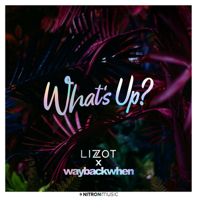 シングル/What's Up？/LIZOT／waybackwhen