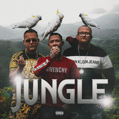 アルバム/Jungle (Explicit)/Ude Af Kontrol