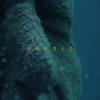 アルバム/Unfold ((XXIM:EXPO #2))/ABBOTT
