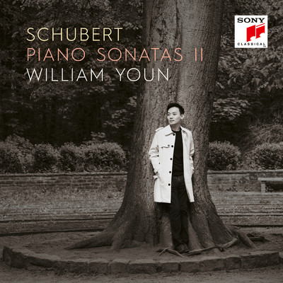 Piano Sonata No. 4 in A Minor, D. 537,  Op. posth. 164: II. Allegretto quasi Andantino/William Youn