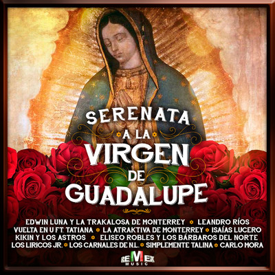 Serenata a la Virgen de Guadalupe/Varios Artistas