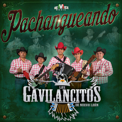 Carinito de Mi Vida/Los Gavilancitos de Nuevo Leon