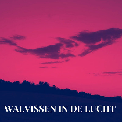 シングル/Walvissen In De Lucht (Explicit)/Nino
