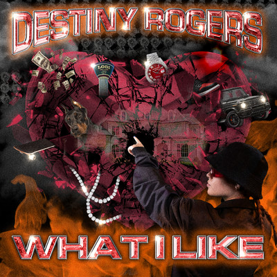 シングル/What I Like/Destiny Rogers