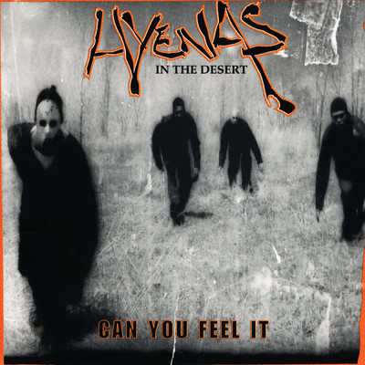 シングル/Can You Feel It (Instrumental)/Hyenas In The Desert