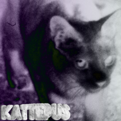 Kattepus (Explicit)/Arif Murakami／Stig Brenner