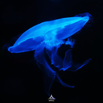 Atlantis/Jelly The Fish／Artsounds Chill