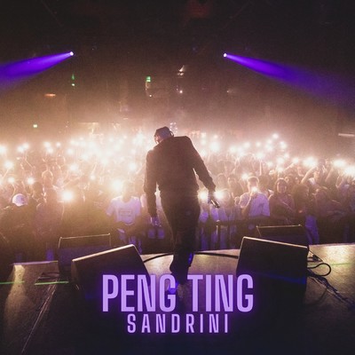シングル/Peng Ting/Sandrini 2830