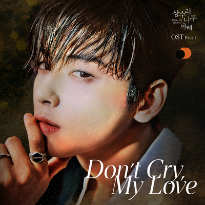 シングル/Don't Cry, My Love (Instrumental)/Cha Eun Woo