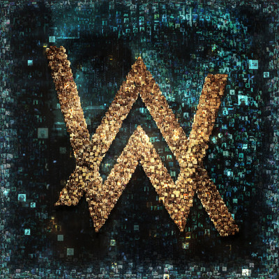 World We Used To Know/Alan Walker／Winona Oak