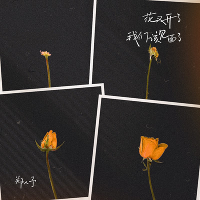 シングル/When the Flowers Bloom/REN YU