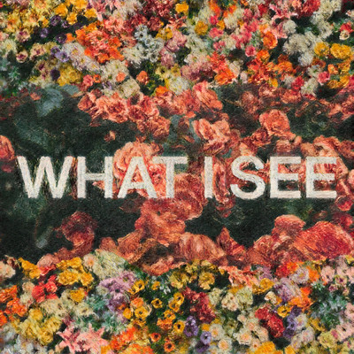 シングル/What I See feat.Chris Brown/Elevation Worship