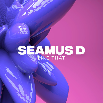 Like That (DJ S.K.T Remix)/Seamus D