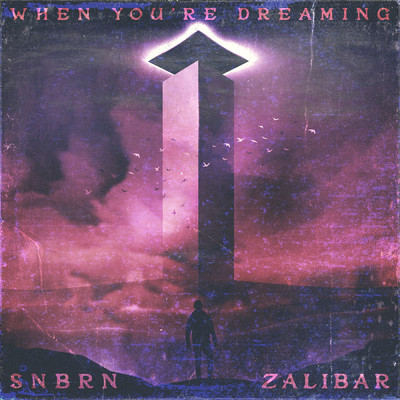 When You're Dreaming/SNBRN／Zalibar