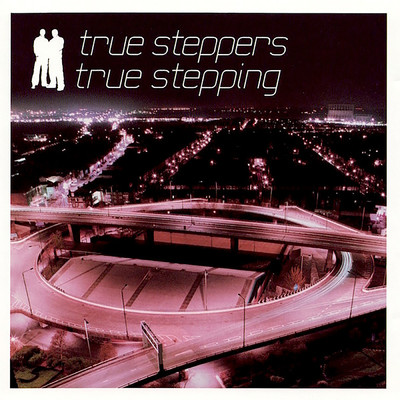 Buggin' (Radio Edit) feat.Dane Bowers/True Steppers