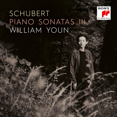 Piano Sonata No. 17 in D Major, D. 850: III. Scherzo. Allegro vivace - Trio/William Youn