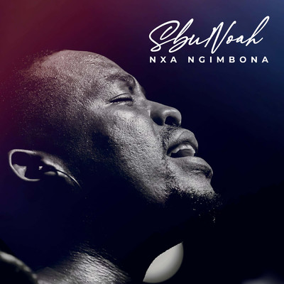 シングル/Nxa ngimbona (Live at Goshen City Church 2023)/SbuNoah