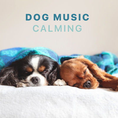 Dog Music - Calming Songs for Dogs and Puppies/Sleepy Dogs