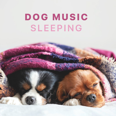 Dog Sleeping Music/Sleepy Dogs