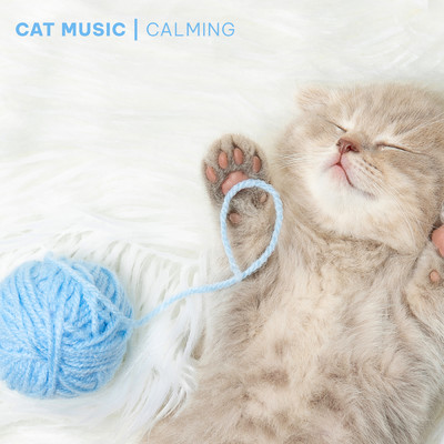 Cat Music - Calming Songs for Cats and Kittens/Cat Music／Cat Music Experience