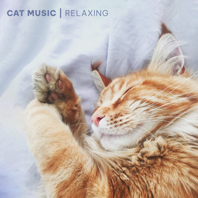 Piano Music for Cats/Cat Music／Cat Music Experience／Music for Cats