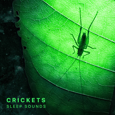 Crickets Sleep Sounds (Mindfulness & Relaxation), Pt. 15/Sleepy Times／Nature Ambience／Night Sounds