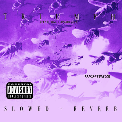 Triumph (slowed + reverb) (Explicit) feat.Cappadonna/Wu-Tang Clan