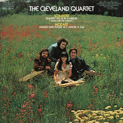 String Quartet in D Minor,  D. 810 ”Death and the Maiden”: II. Andante con moto (2023 Remastered Version)/Cleveland Quartet