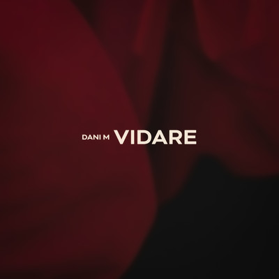 シングル/Vidare/Dani M