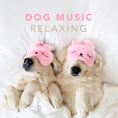 Dog Music - Relaxing Music for Dogs and Puppies/Sleepy Dogs／Dog Music Club