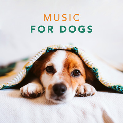 Music for Dogs - Relaxing Songs for Dogs and Puppies/Sleepy Dogs