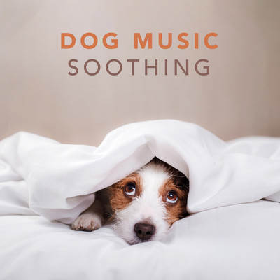Dog Music - Soothing Music for Dogs and Puppies/Sleepy Dogs