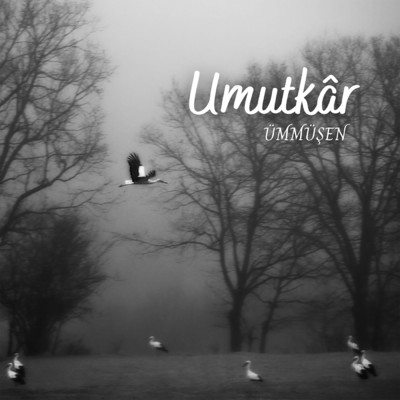 Umutkar/Various Artists