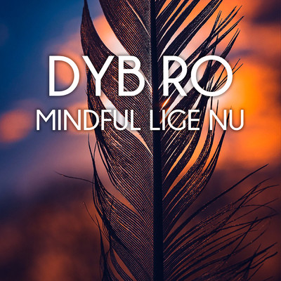 アルバム/Mindful Lige Nu/Dyb Ro