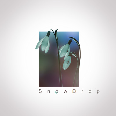 Snowdrop/Various Artists