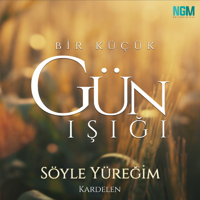 シングル/Soyle Yuregim/Alp Yenier