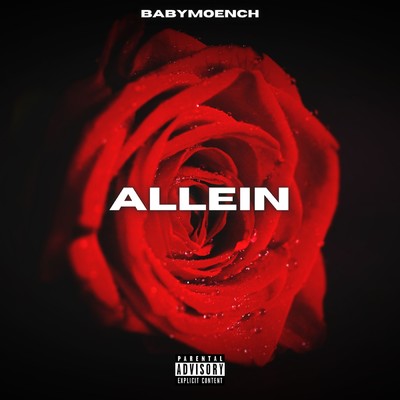 シングル/Allein (Slowed Version) (Explicit)/Babymoench